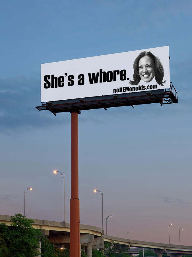 Kamala Harris blew her way to the top...a classic whore & communist subverter succubus