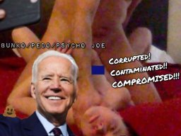 DEMonoids™ Joe &amp; Hunter Biden